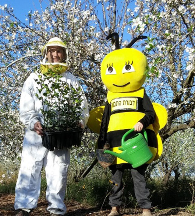 דבורת התבור