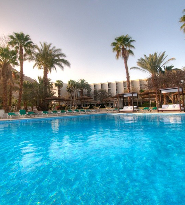 לאונרדו אין