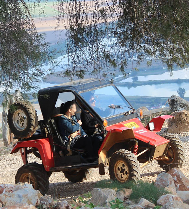 טרקטורוני דישון