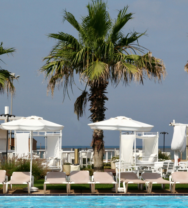 ספא חוף התמרים