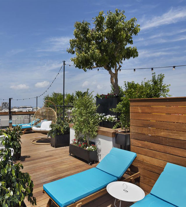 סאם אנד בלונדי