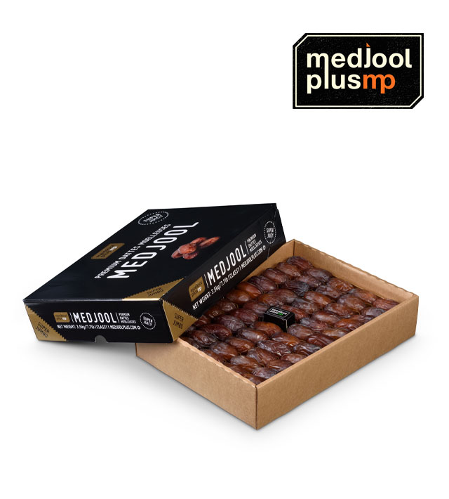 מג'הול פלוס